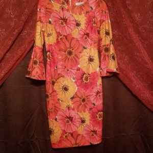 Beautiful multi color dress.